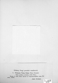 Image Associated With the Occurence